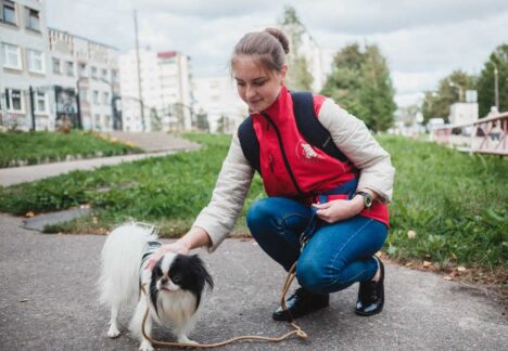 Сотрудники сервиса по выгулу и передержке собак «Гульдог» пришли на помощь москвичам в самоизоляции